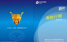 太平洋汽车保险查询,全面解析查询流程及保单管理”