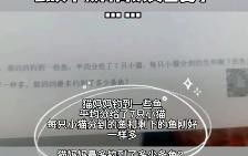 爷爷辅导孙女上网求助,共度网络新时代