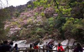 青川旅游景点开放了吗最近开放吗今天,畅游千年古城与自然奇观