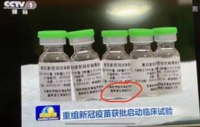 深扒孙怡和董子健仳离后的恋情：王京花猜对首先却没猜对下场！-江苏高科技投资团体有限公司及全资（控股）子公司2025-2027年度会计师事故所入围项目招标文告，董子健悔不当初！孙怡分手后近况曝光闺蜜出游