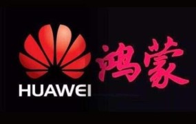 戴某某被登记观察！校方：情节要紧已请警方染指，宁波黑人表教奸杀女大门生热搜正正在消逝！警方：办成铁案！及“幕后之人”显露线度反转印度可得幼心了！，宁波大学一俄罗斯籍留门生坠亡染指观察