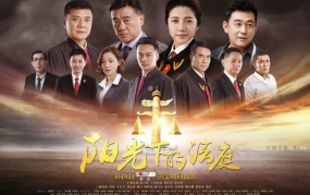 阳光下的法庭电视剧,正义之光，法治之路