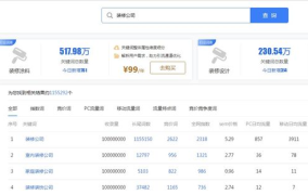 东莞关键词排名,揭秘优化策略与市场趋势”