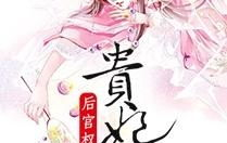 好看的后宫争斗小说,后宫争斗的华丽篇章