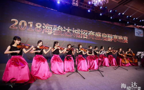 演艺娱乐活动策划,演艺娱乐活动盛宴概览
