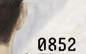 0852小说,时空裂痕中的传奇冒险