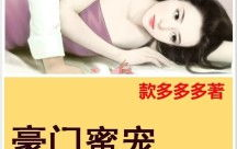 亿万老婆买一送一全文免费,豪门虐恋的逆袭传奇