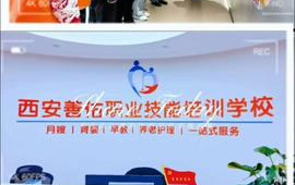 西安家政服务,多元化服务满足现代家庭需求”