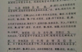 指南录后序原文及翻译,文天祥抗元壮烈经历与爱国情怀的史诗